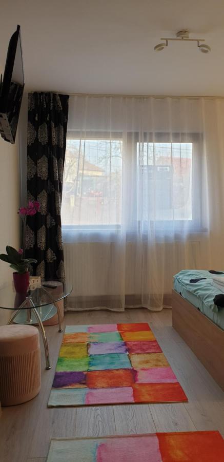 Casa Ana Cluj Apartment Екстериор снимка