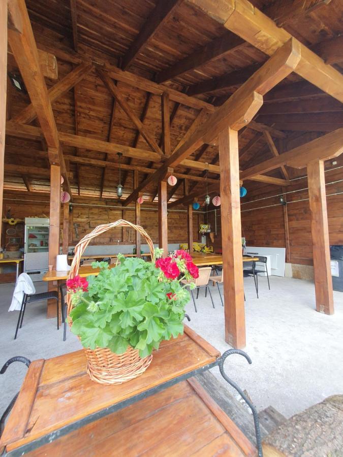 Casa Ana Cluj Apartment Екстериор снимка