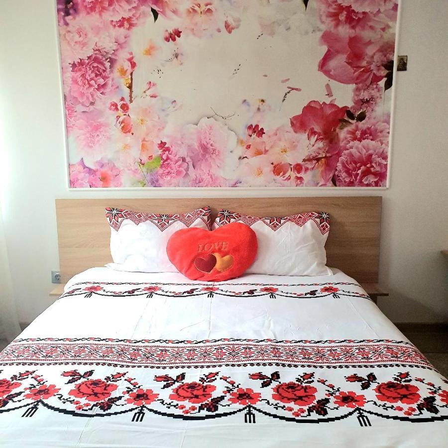 Casa Ana Cluj Apartment Екстериор снимка