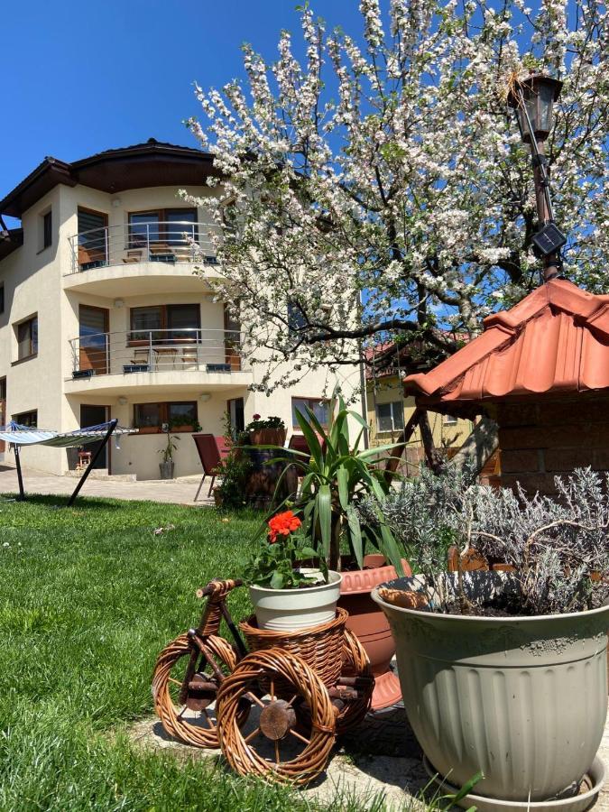 Casa Ana Cluj Apartment Екстериор снимка