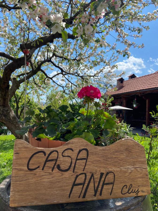Casa Ana Cluj Apartment Екстериор снимка
